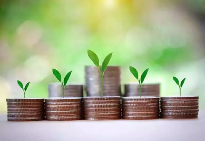 ​Contra fund or value fund: Which is better for investors?